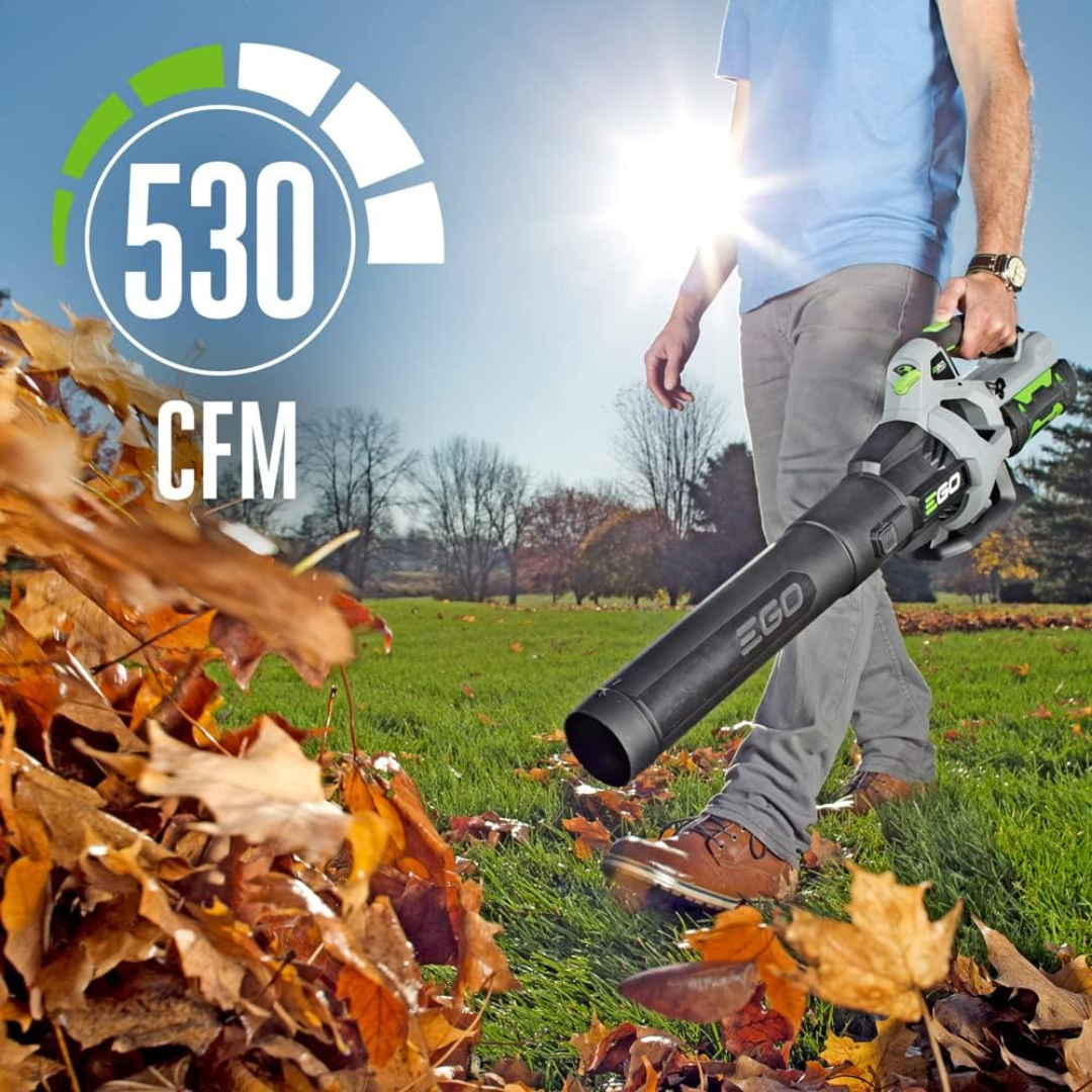 Cordless snow and leaf blower-Aldronix