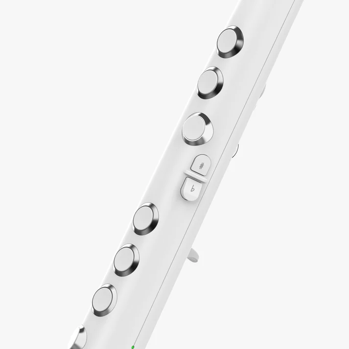 Electronic flute-Aldronix