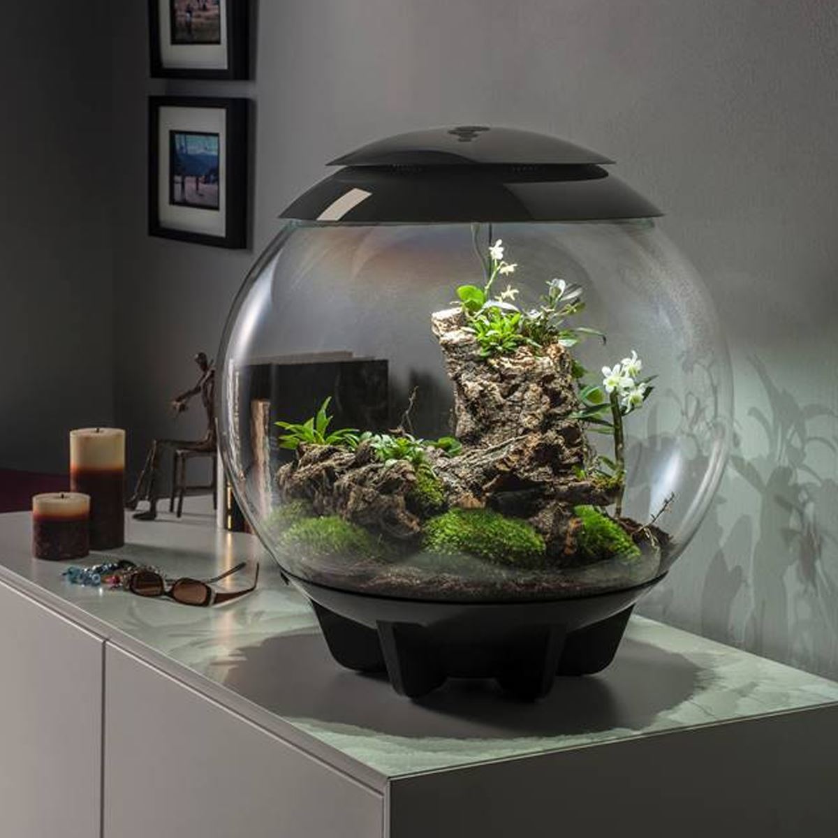 Automatic Terrarium-Aldronix