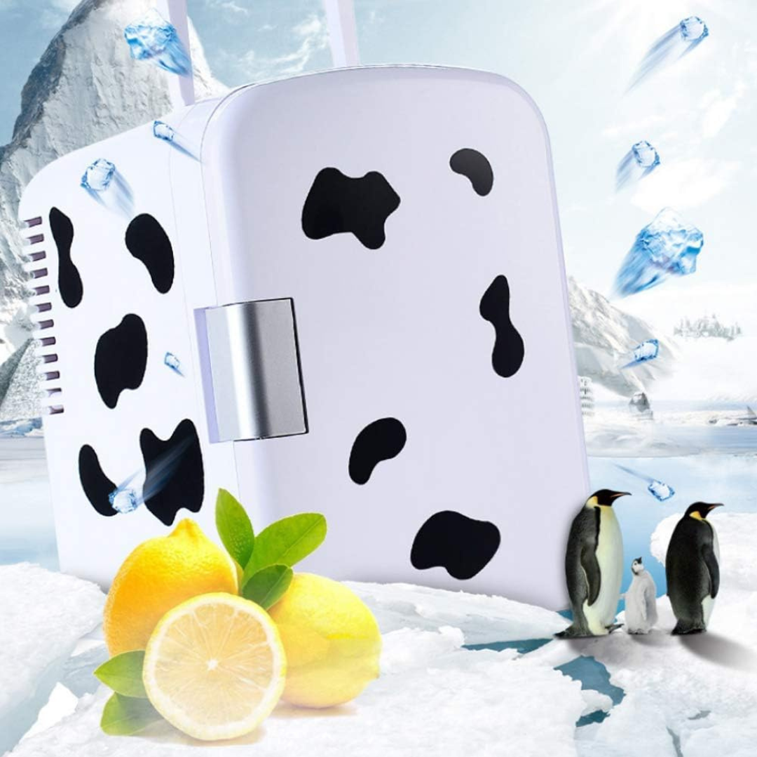Portable Mini Fridge-Aldronix
