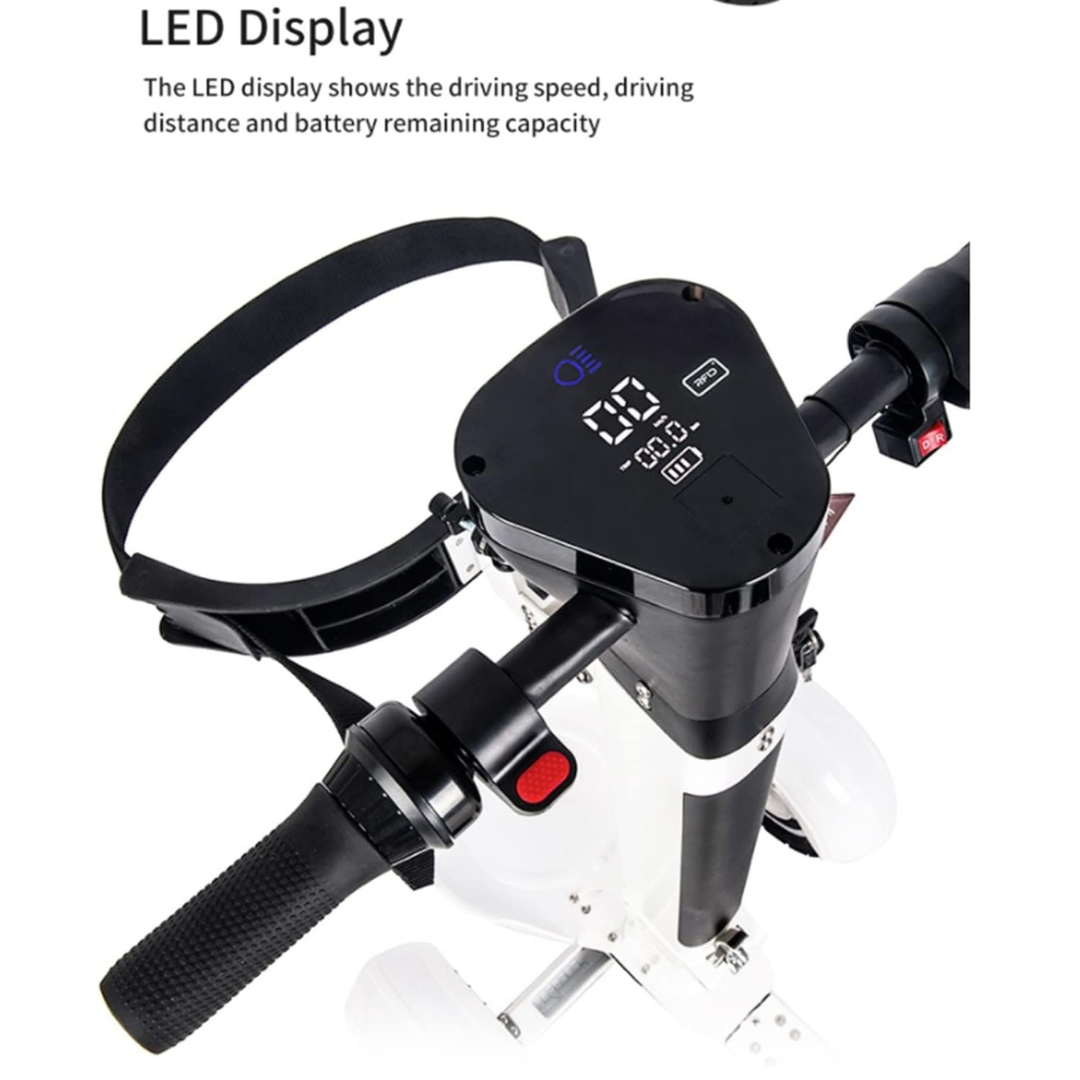 Electric Golf Buggy 4 Wheel Cart Scooter-Aldronix