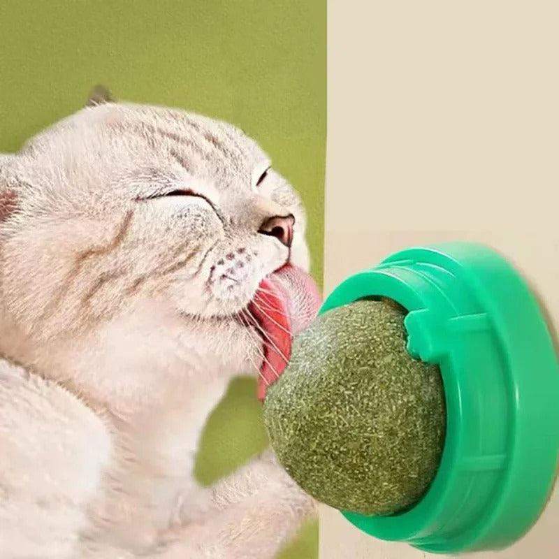 4 Pcs Premium Catnip Ball-Aldronix
