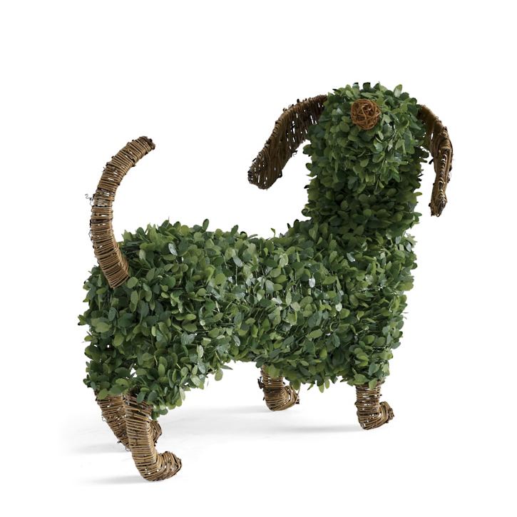 Faux Boxwood Dog锛孡ouie-Aldronix