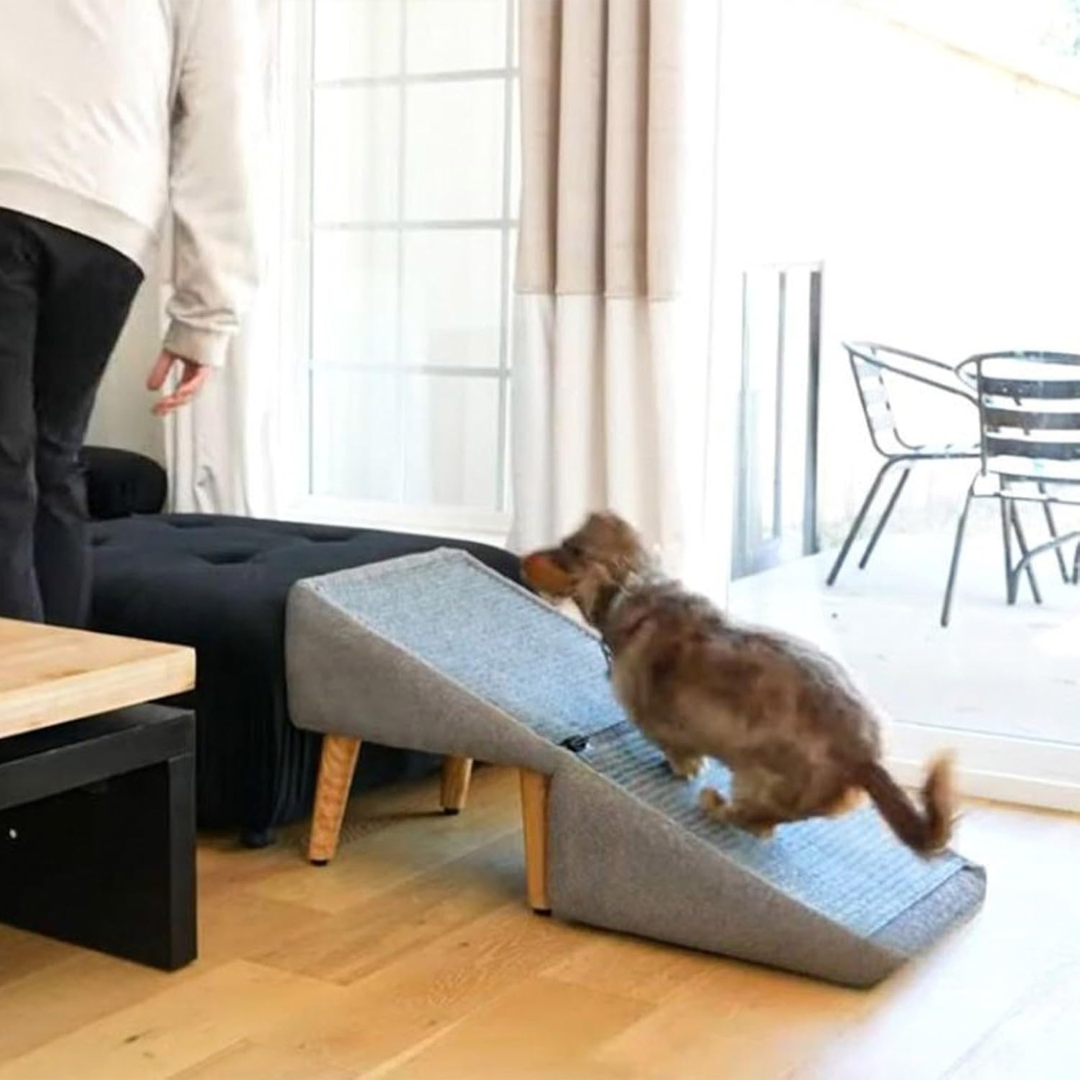 Functional Ottoman Ramp Folding Chair-Aldronix