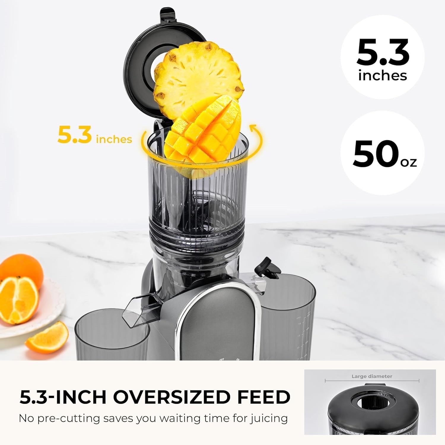 Cold Press Juicer-Aldronix