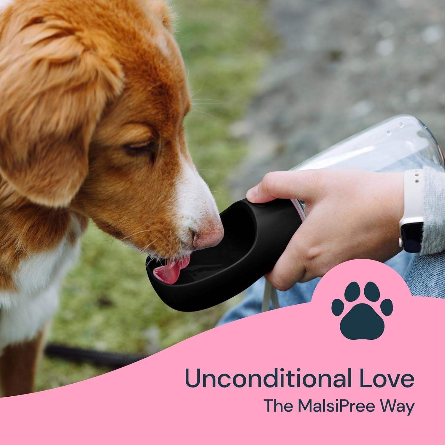 19 oz portable water bottle for dogs-Aldronix