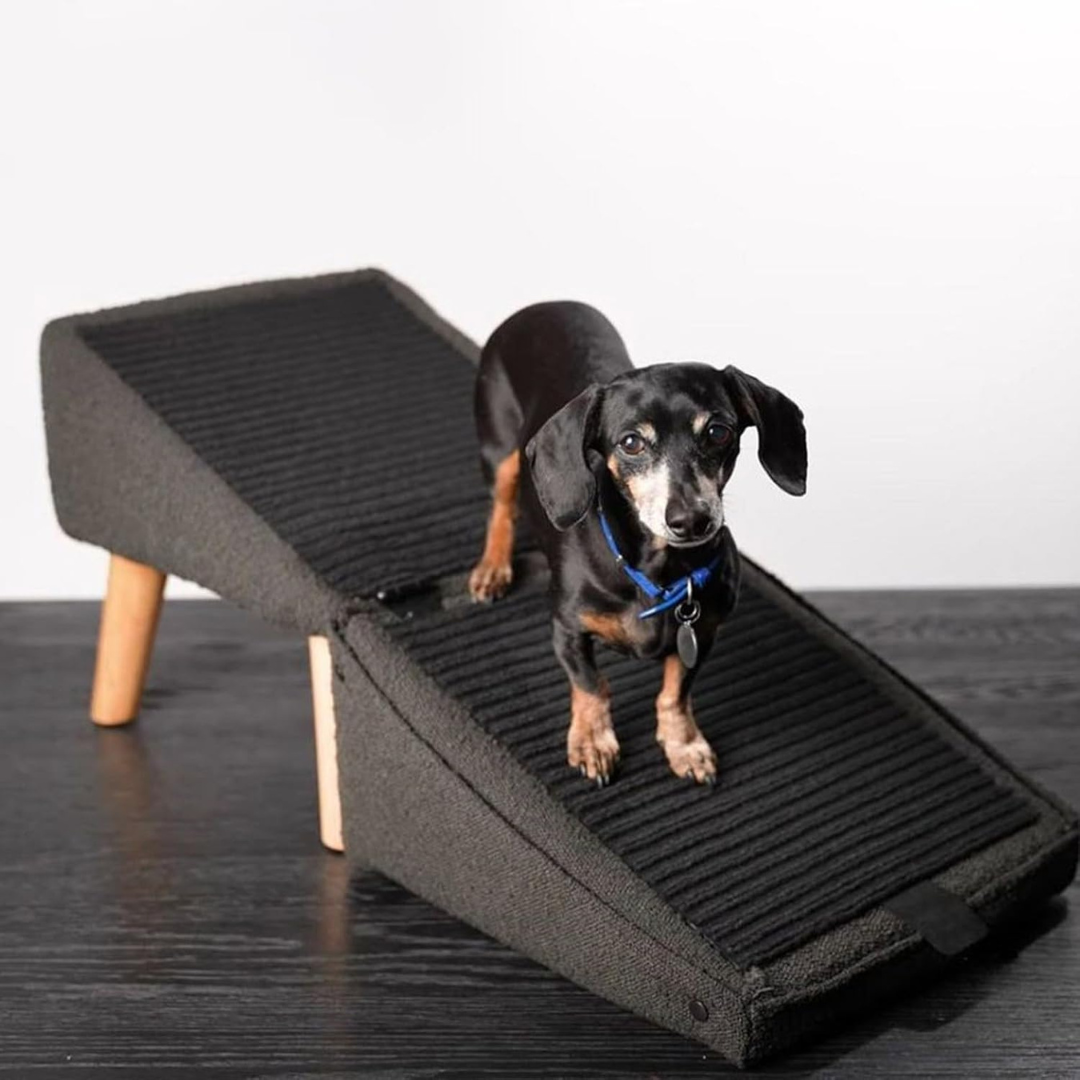 Functional Ottoman Ramp Folding Chair-Aldronix
