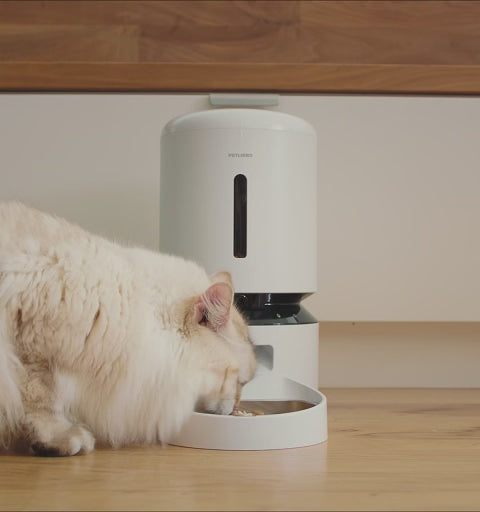 Camera Monitoring Feeder-Aldronix