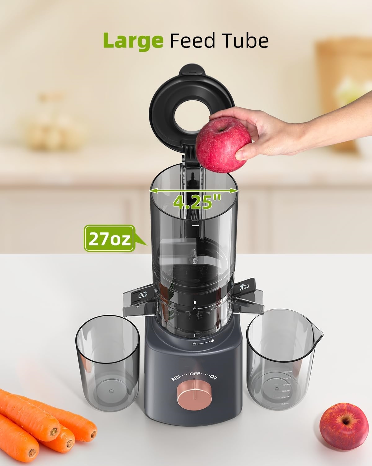 Cold Press Juicer with 8 Juice Bottles-Aldronix