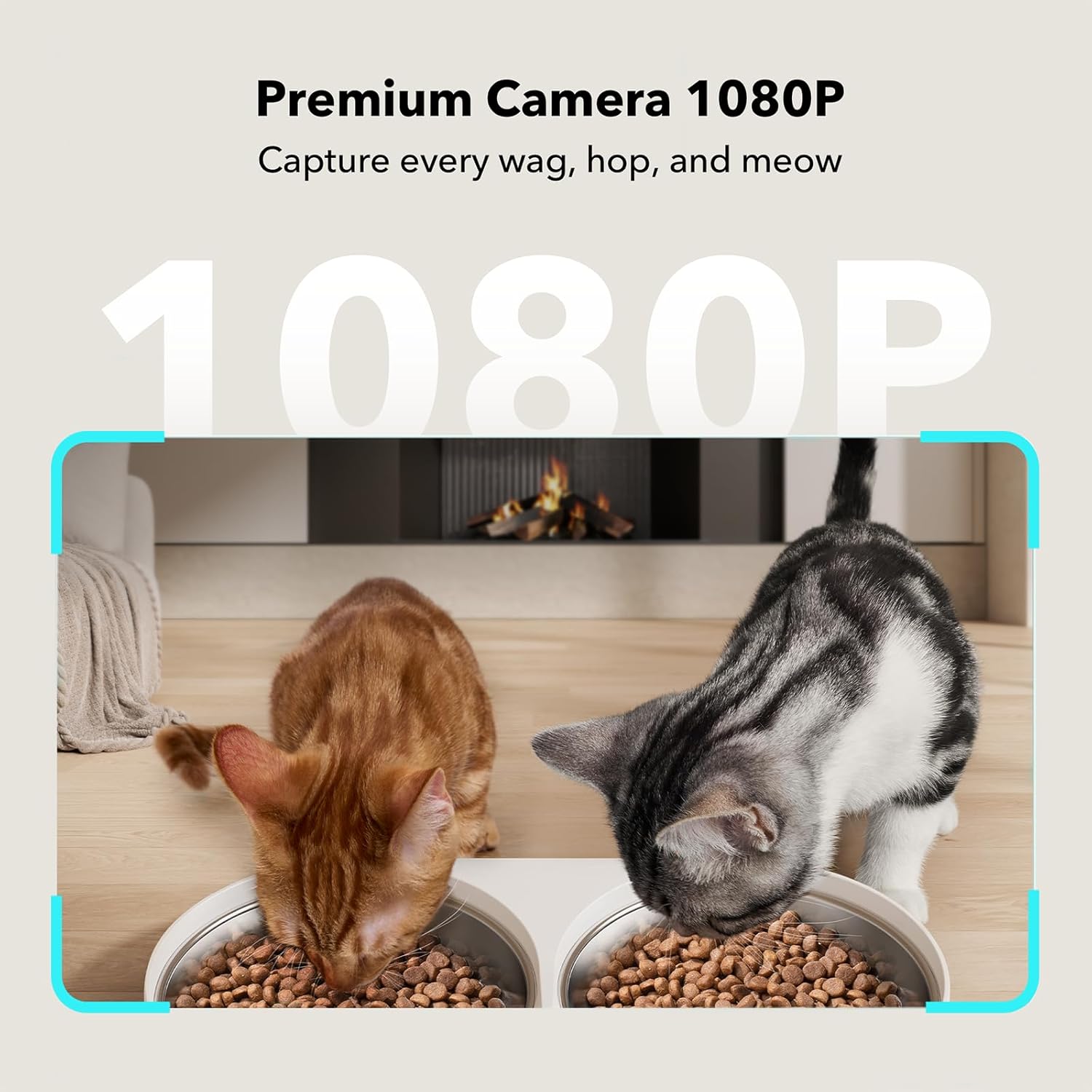 Automatic Cat Feeder with Camera for Two Cats-Aldronix