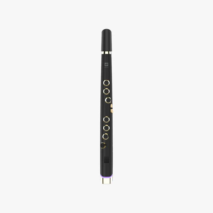 Electronic flute-Aldronix