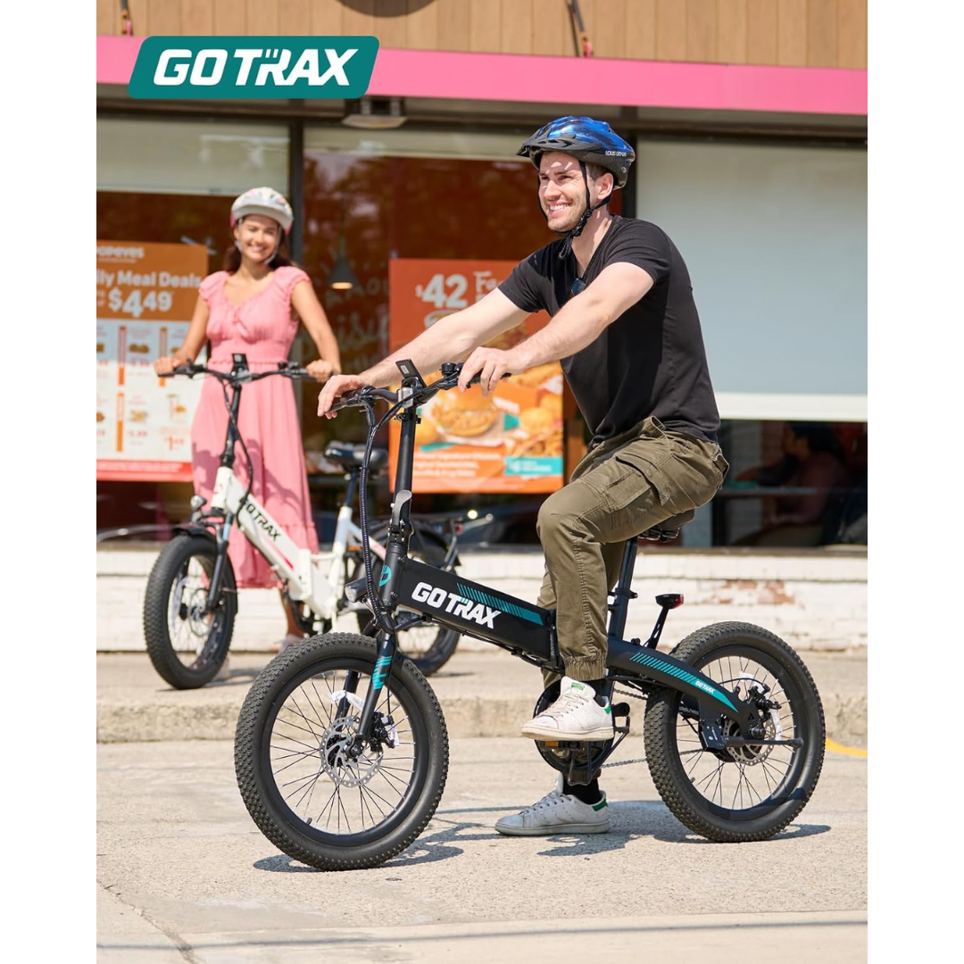 Folding Electric Bike-Aldronix