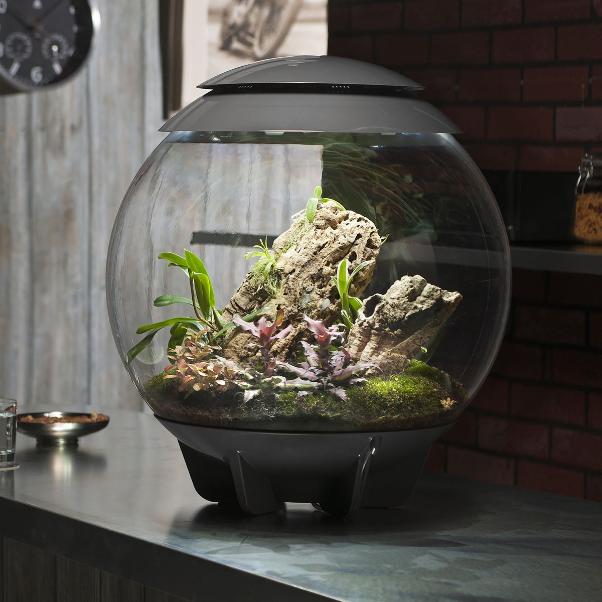 Automatic Terrarium-Aldronix