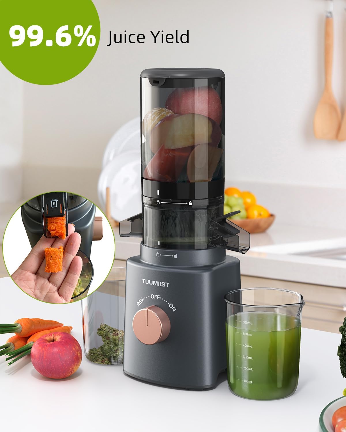 Cold Press Juicer with 8 Juice Bottles-Aldronix