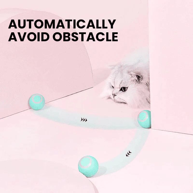 2 in 1 Simulated Interactive Hunting Cat Toy-Aldronix
