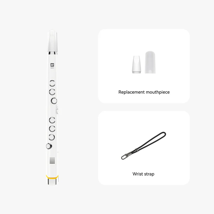 Electronic flute-Aldronix