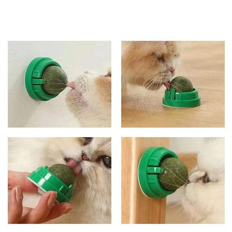 4 Pcs Premium Catnip Ball-Aldronix