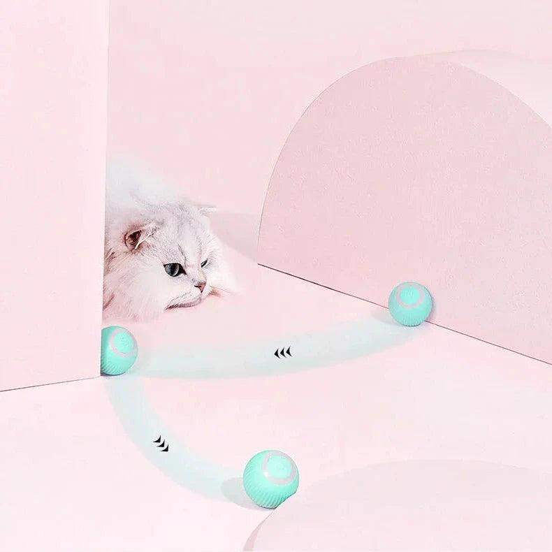 2 in 1 Simulated Interactive Hunting Cat Toy-Aldronix