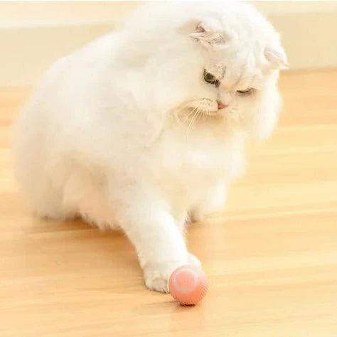 2 in 1 Simulated Interactive Hunting Cat Toy-Aldronix