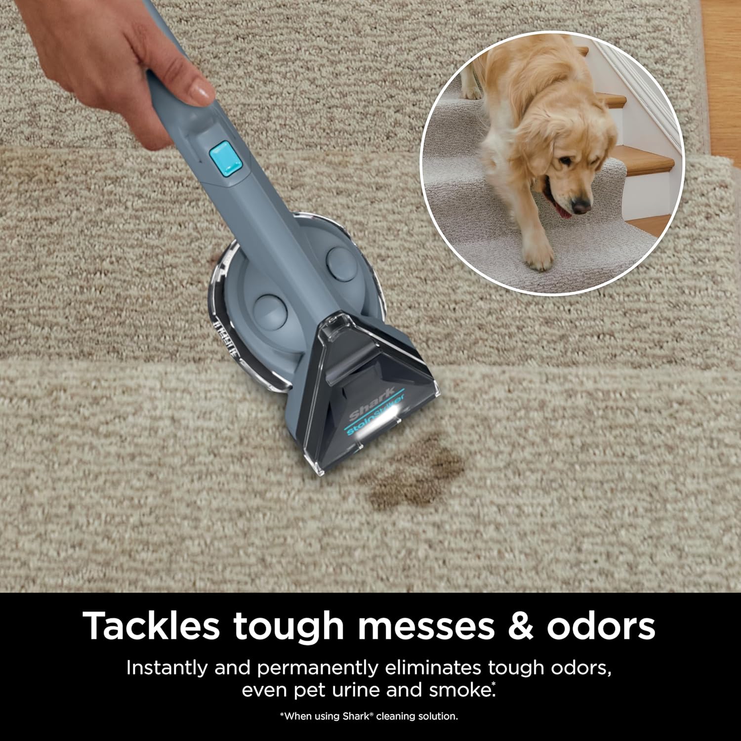 PX201 StainStriker Portable Carpet & Upholstery Cleaner, Spot, Stain, & Odor Eliminator, 3 Attachments, Perfect for Pets, Carpet, Area Rugs, Couches, Upholstery, Cars & More, White-Aldronix