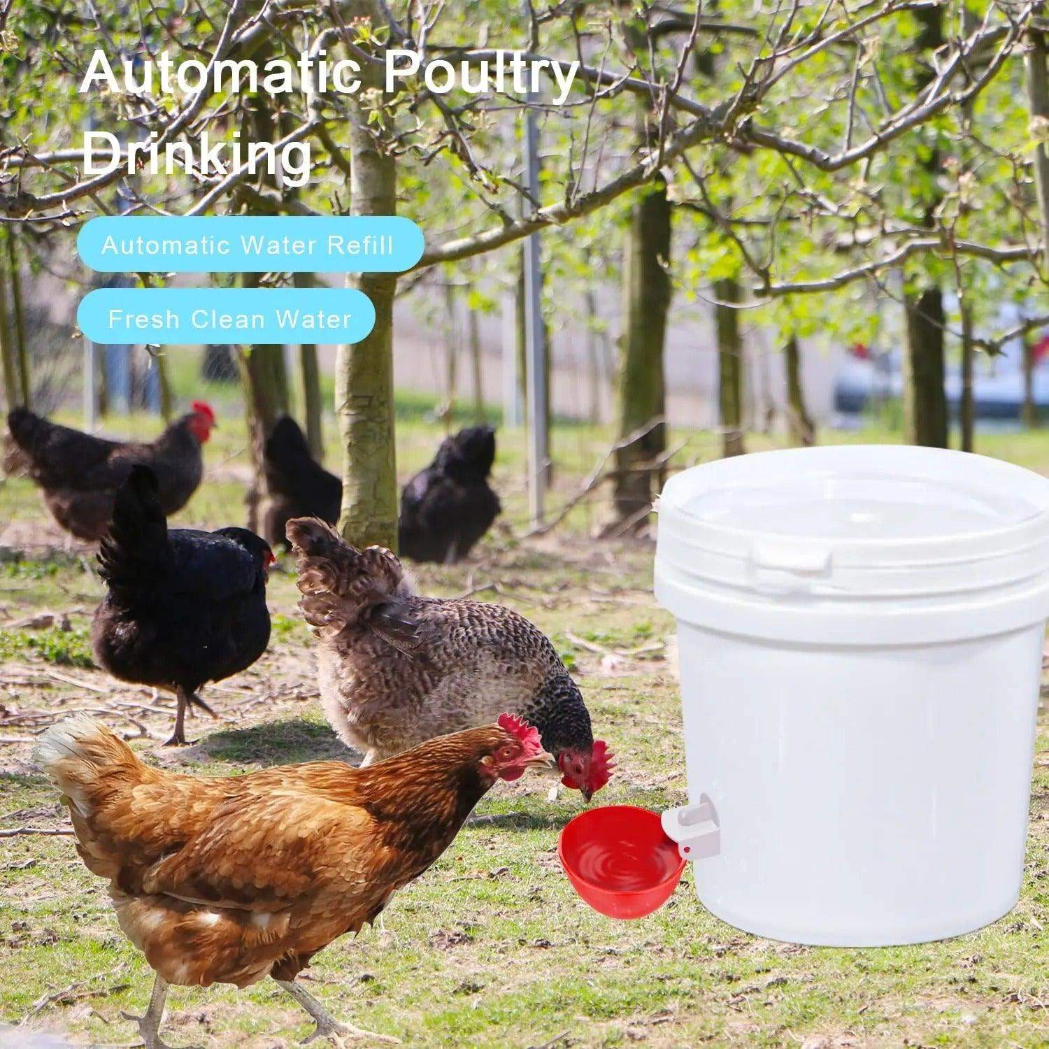 10 Pcs Chicken Waterer-Aldronix