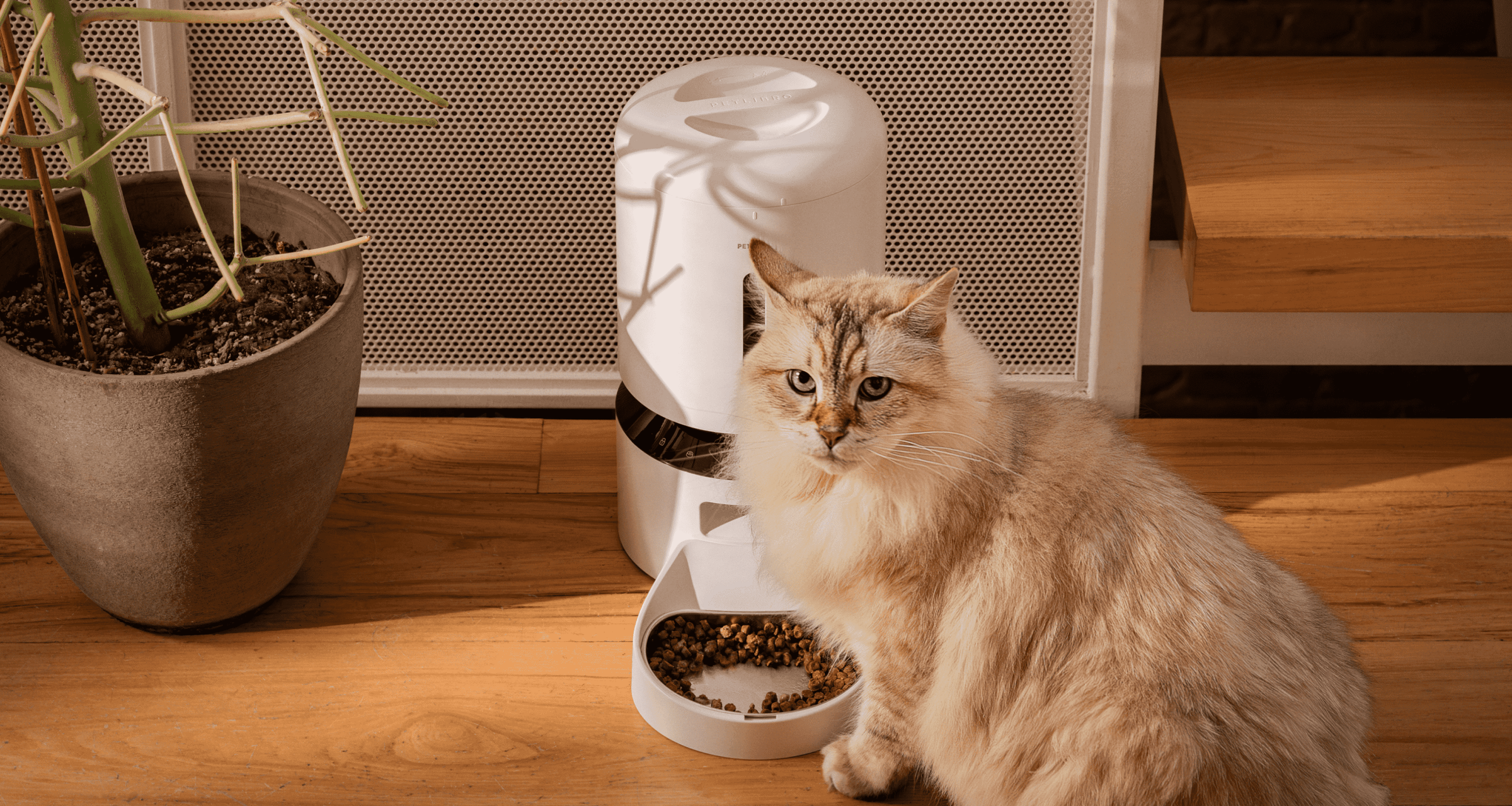 Camera Monitoring Feeder-Aldronix