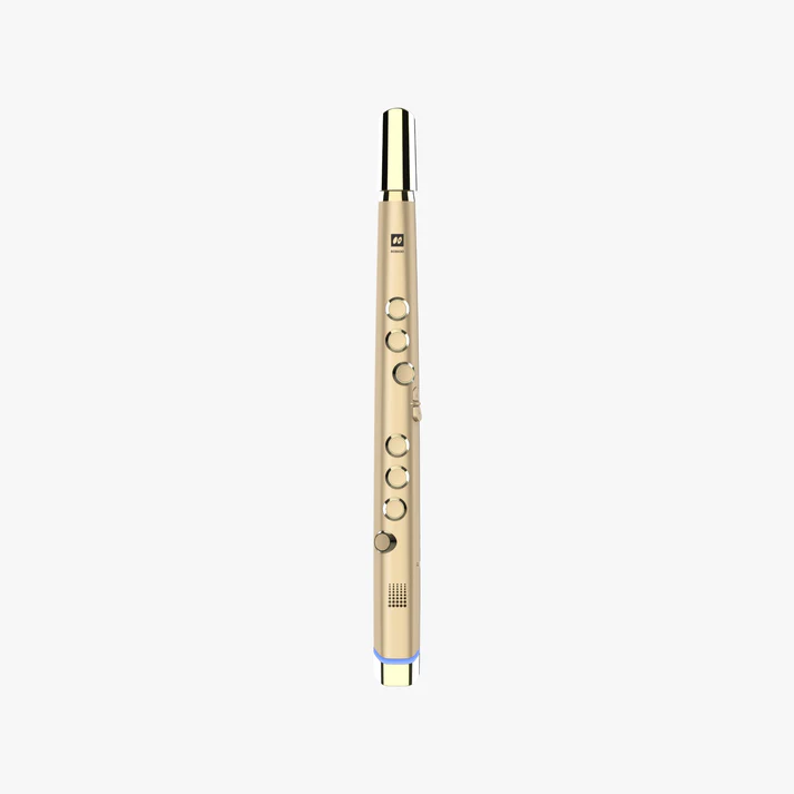 Electronic flute-Aldronix