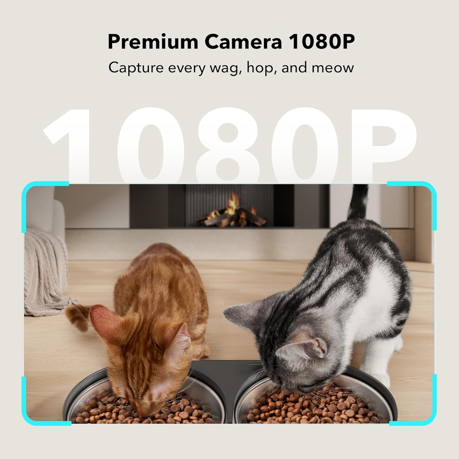 Automatic Cat Feeder with Camera for Two Cats-Aldronix