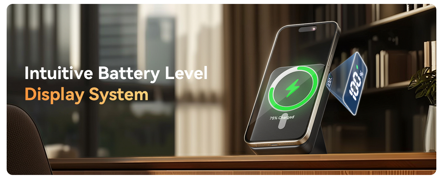 Display System