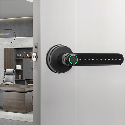 Smart WiFi Remote Controlled Door Lock-Aldronix