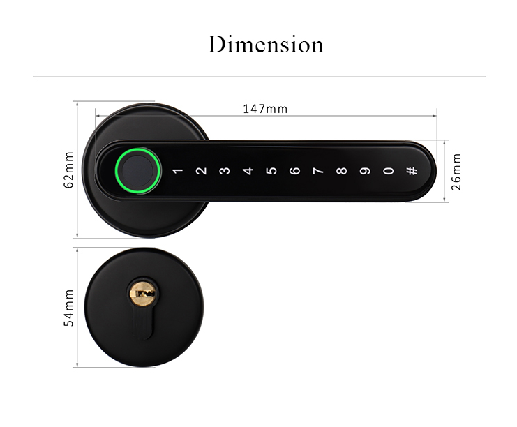 Smart WiFi Remote Controlled Door Lock-Aldronix