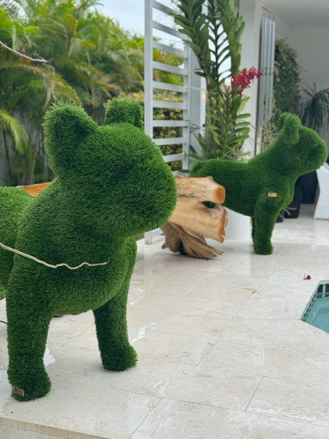 French Bulldog-Aldronix