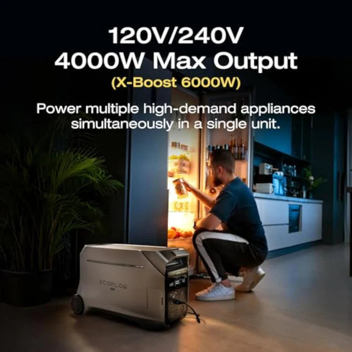 🍃Portable Power Station-Aldronix