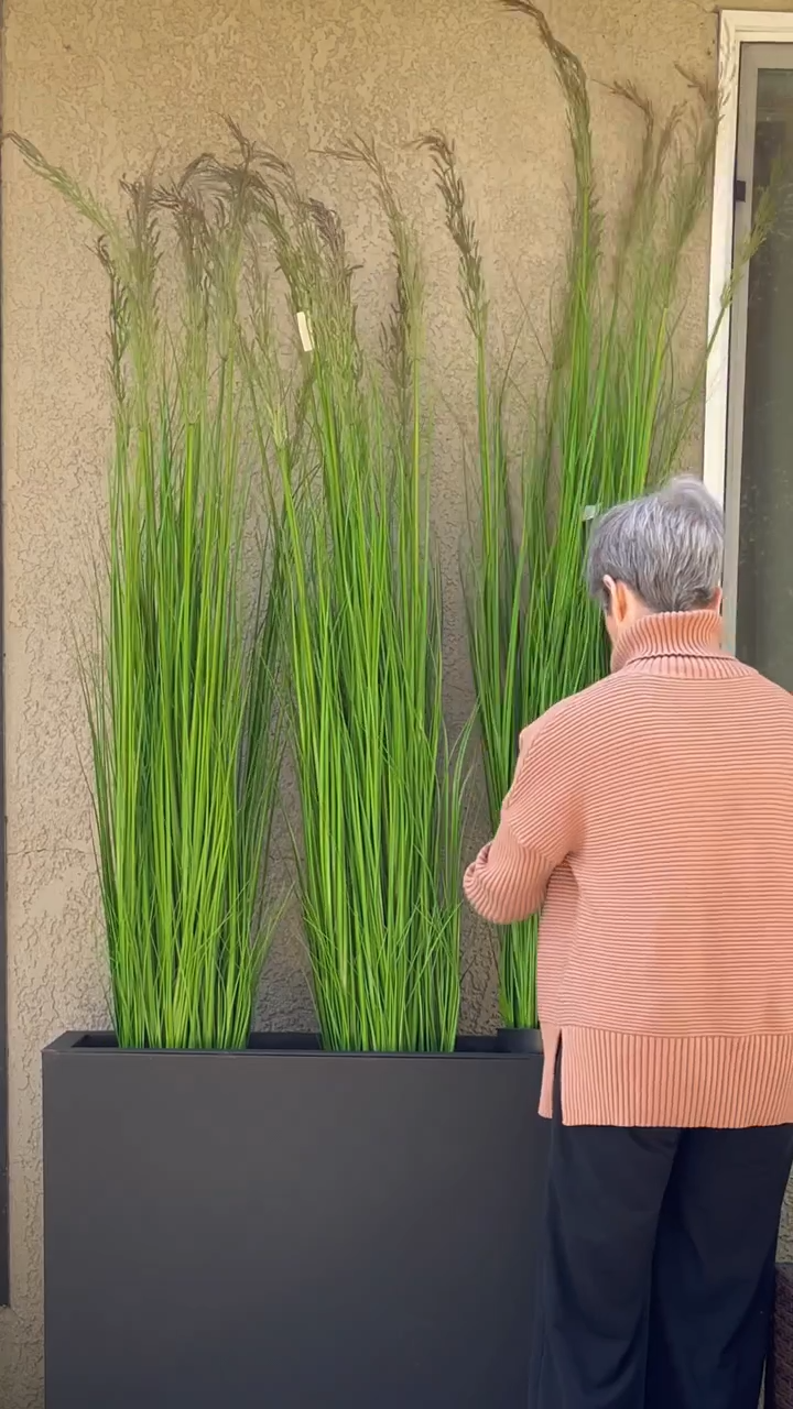 Beautiful privacy screen with miscanthus plant & planters lit up at night with solar lights-Aldronix