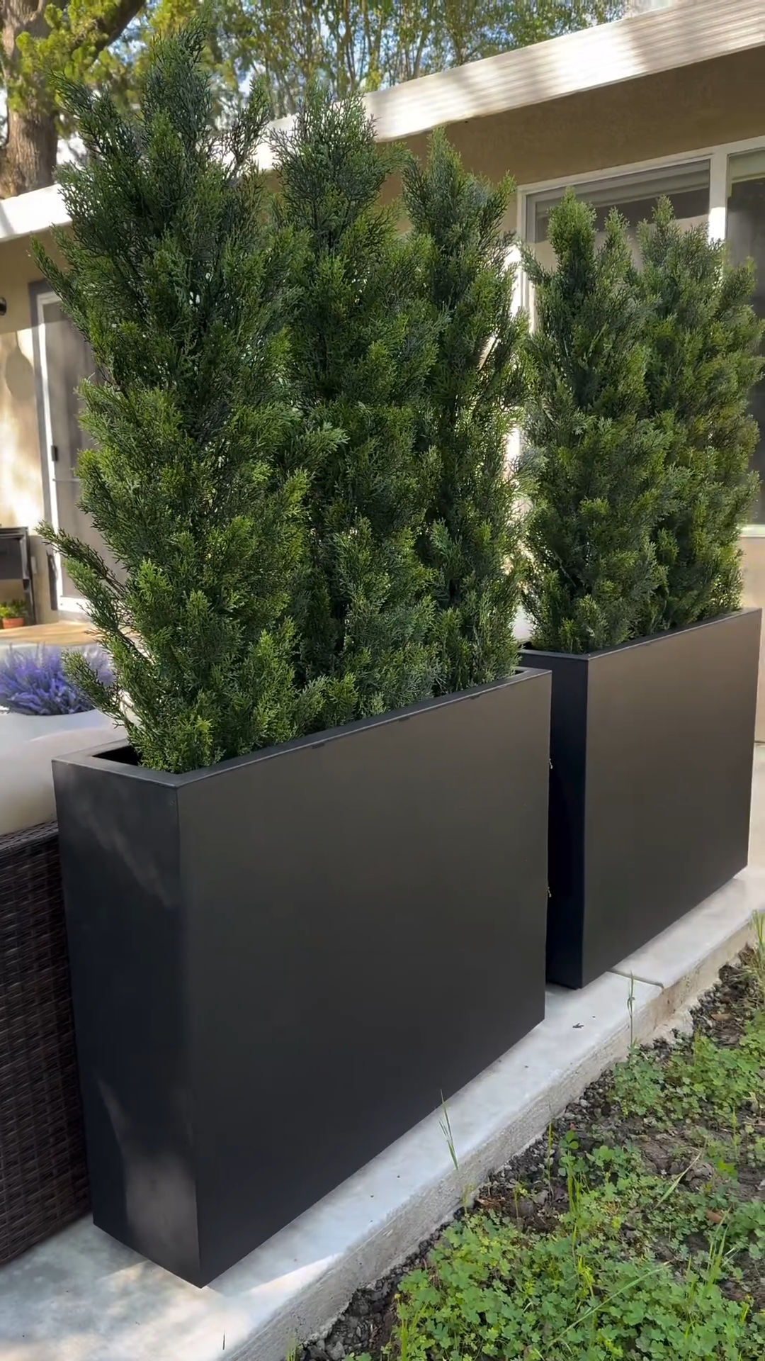 Beautiful privacy screen with cedar trees & planters lit up at night with solar lights-Aldronix