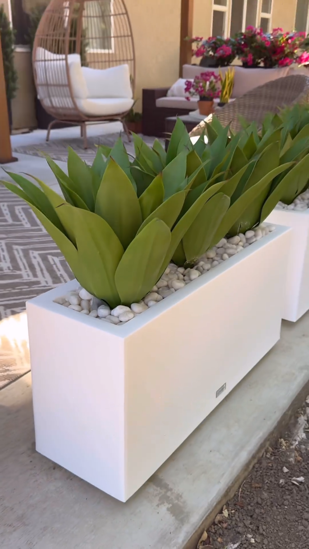 Beautiful privacy plant set with planters & solar lights-Aldronix