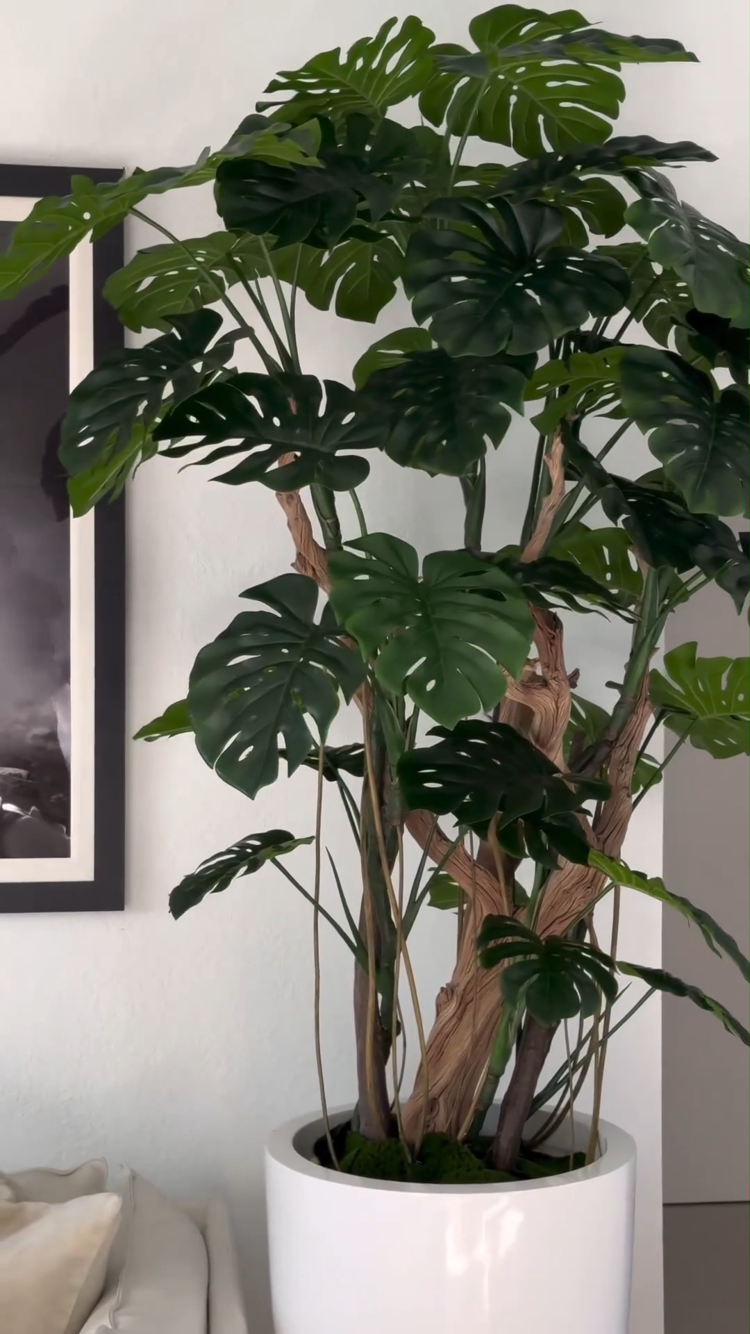 8ft Indoor Artificial Plants( With Flower Pots)-Aldronix