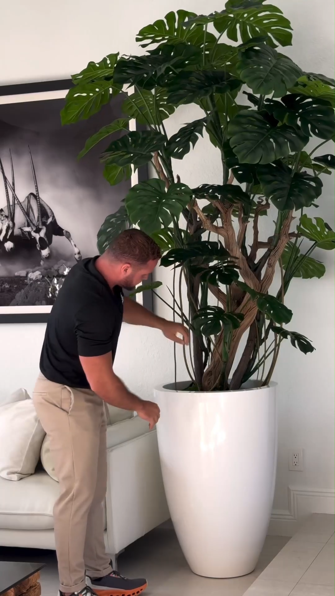 8ft Indoor Artificial Plants( With Flower Pots)-Aldronix