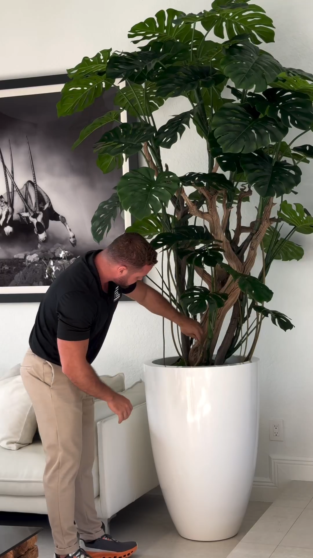 6ft Indoor Artificial Plants( With Flower Pots)-Aldronix
