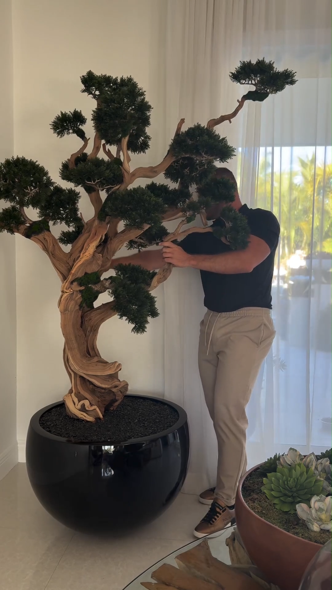 7ft Indoor Artificial Plants( With Flower Pots)-Aldronix