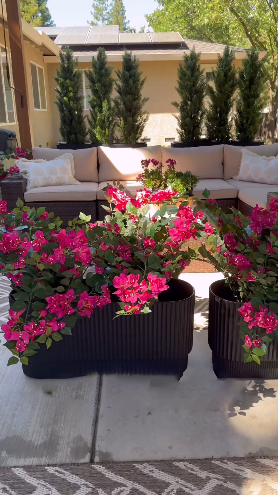 Beautiful privacy flower set with planters & solar lights-Aldronix
