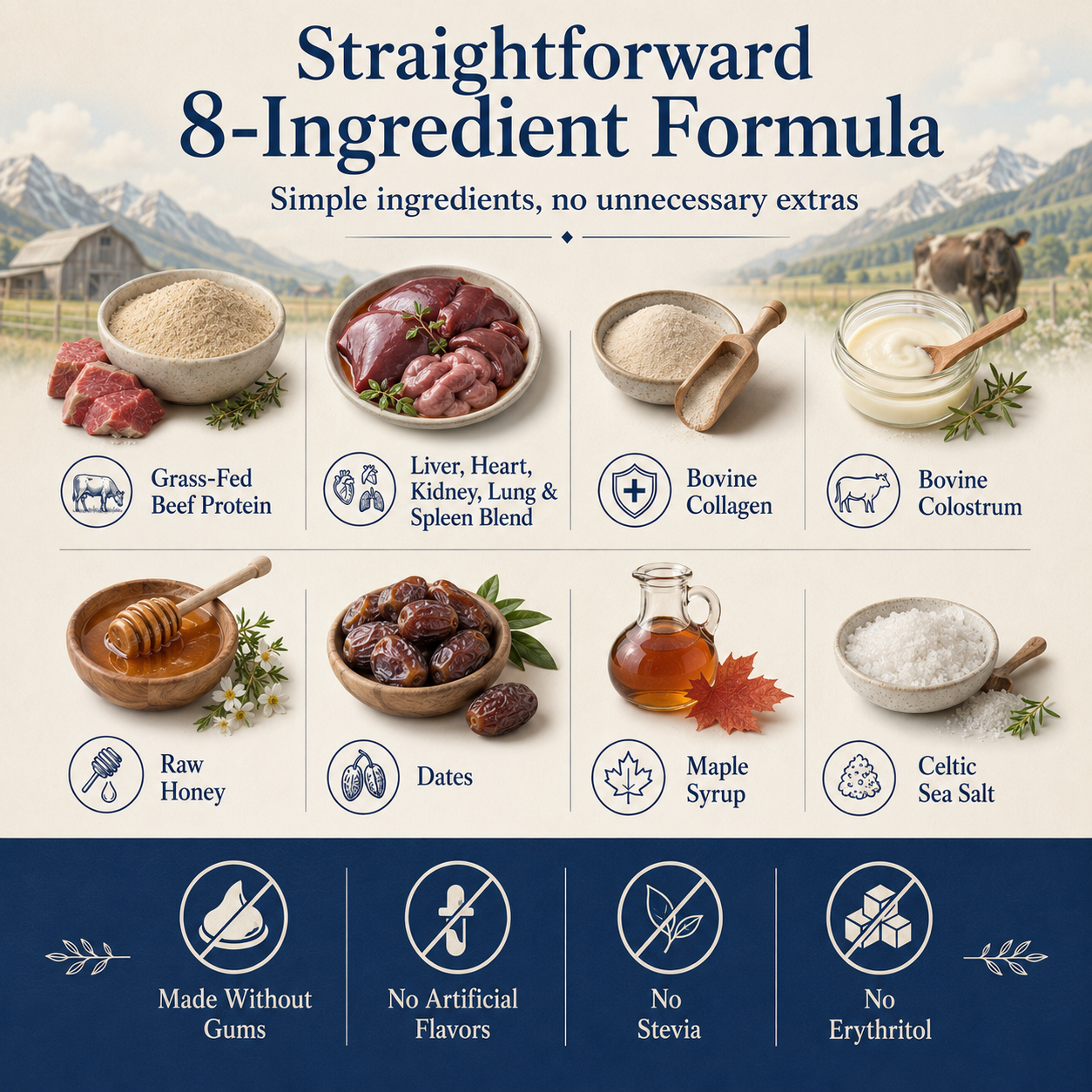 Organised Grass-Fed Beef Organ Protein Powder with Collagen & Colostrum, 13g Protein, Freeze-Dried Liver, Heart, Kidney, Lung & Spleen, Whole Food Blend, 15 Servings, 300g