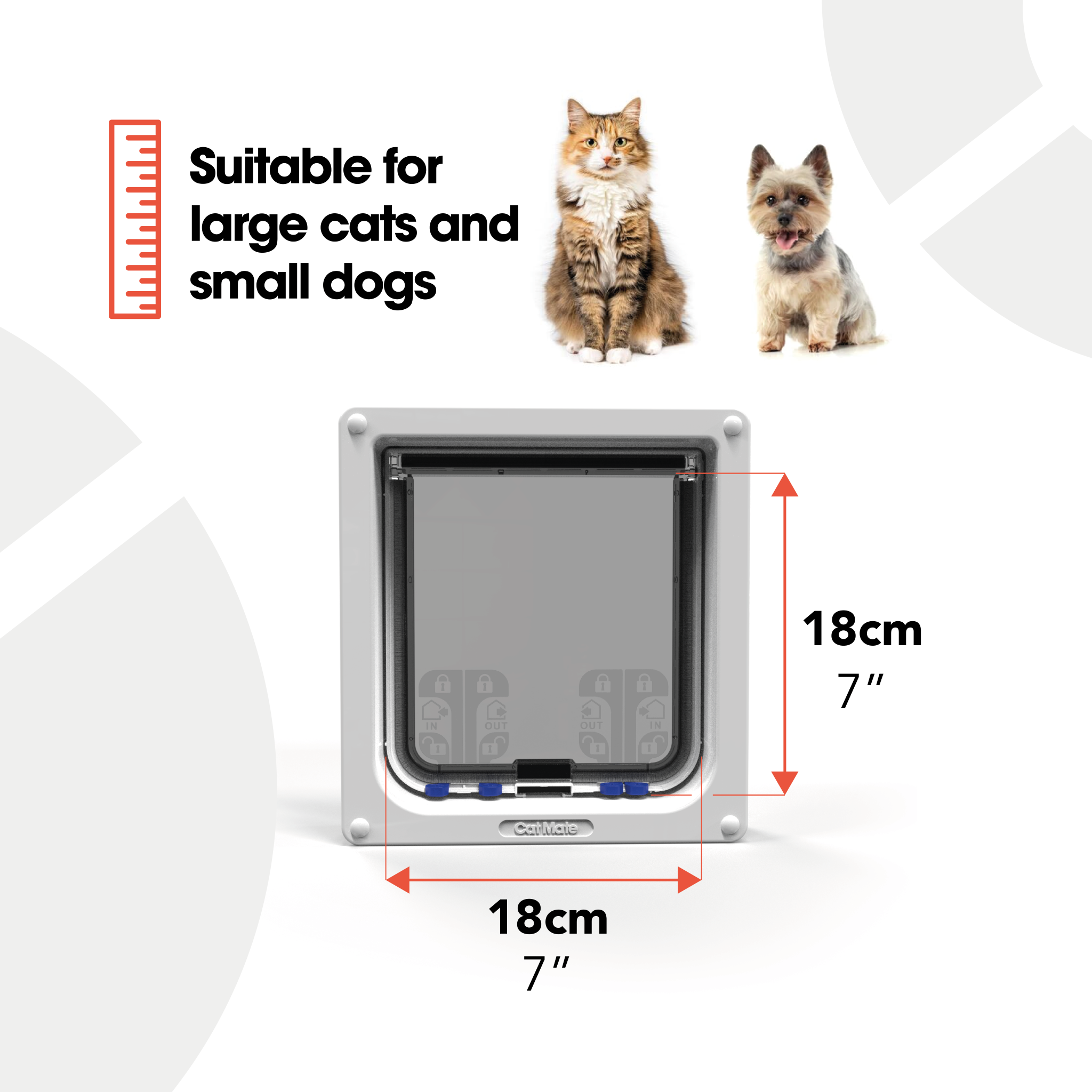 An infographic showing the large cat flap dimensions and that it is suitable for large cats and small dogs.