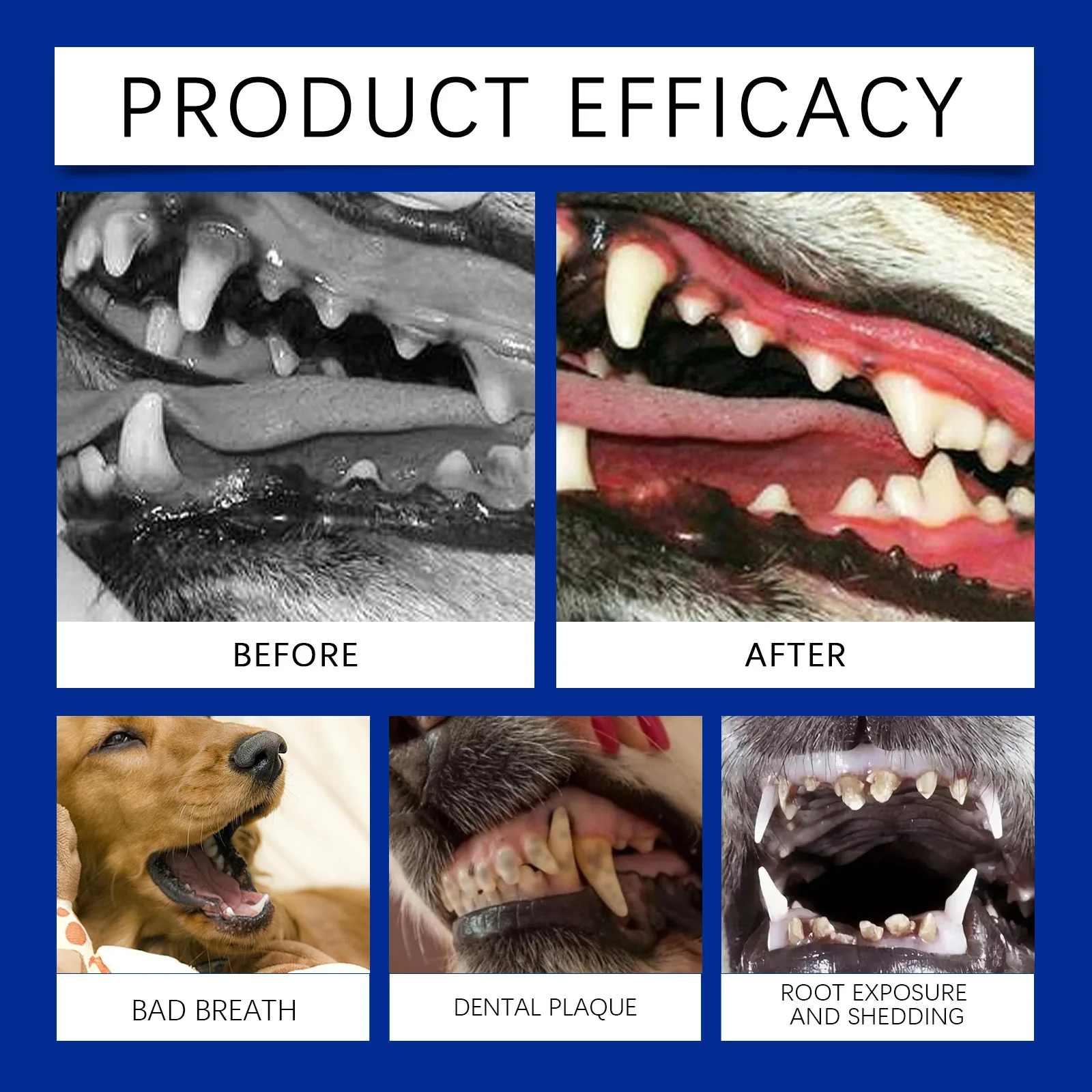 Pet Dental Powder  Dog Breath Freshener Teeth Cleaning 80g Natural Herbal Blend
