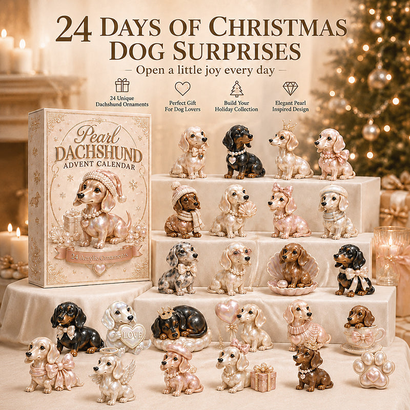 2026 Dachshund Christmas Advent Calendar