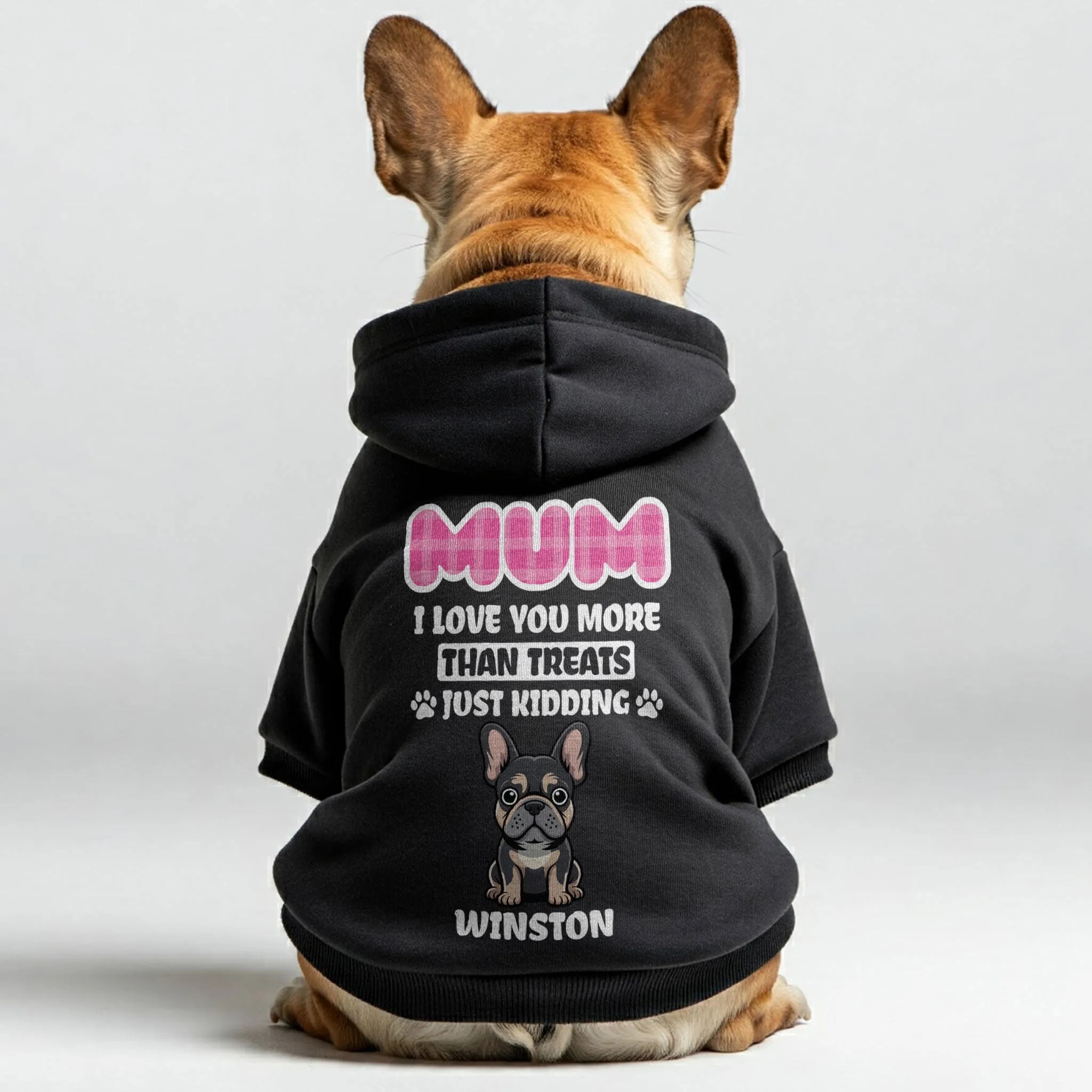 French Bulldog Clothes