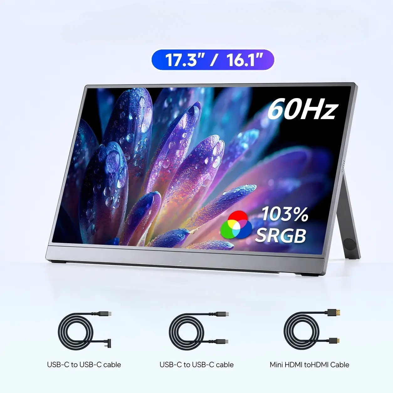 Portable Monitor 1080P IPS.
