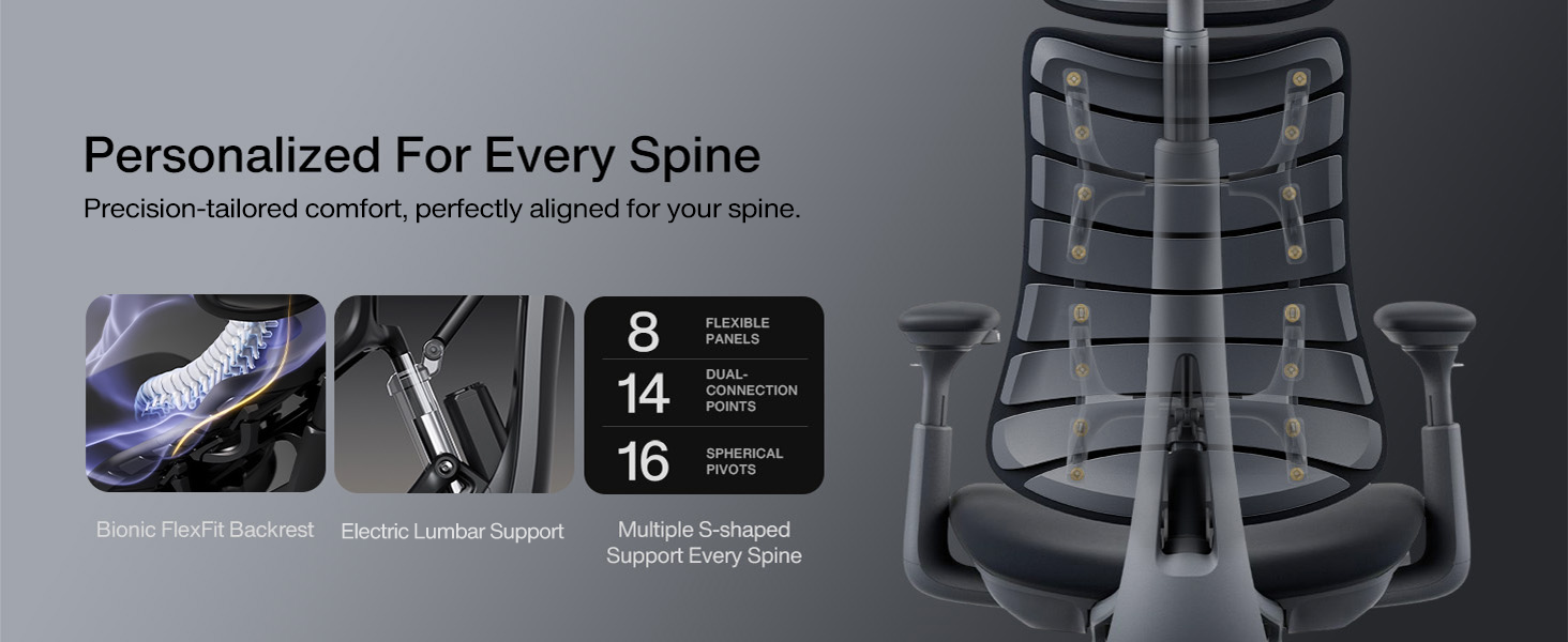 Ergonomic chair backrest showing spine support zones and adjustable features