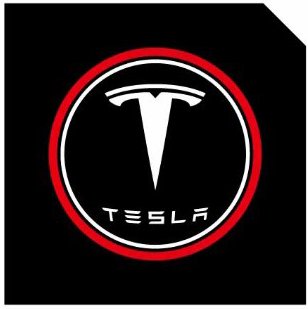 LED Logo Tesla Puddle Lights for Model 3/Y/S/X