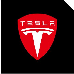 LED Logo Tesla Puddle Lights for Model 3/Y/S/X